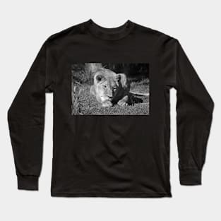 It's A Lazy Kinda Day Long Sleeve T-Shirt